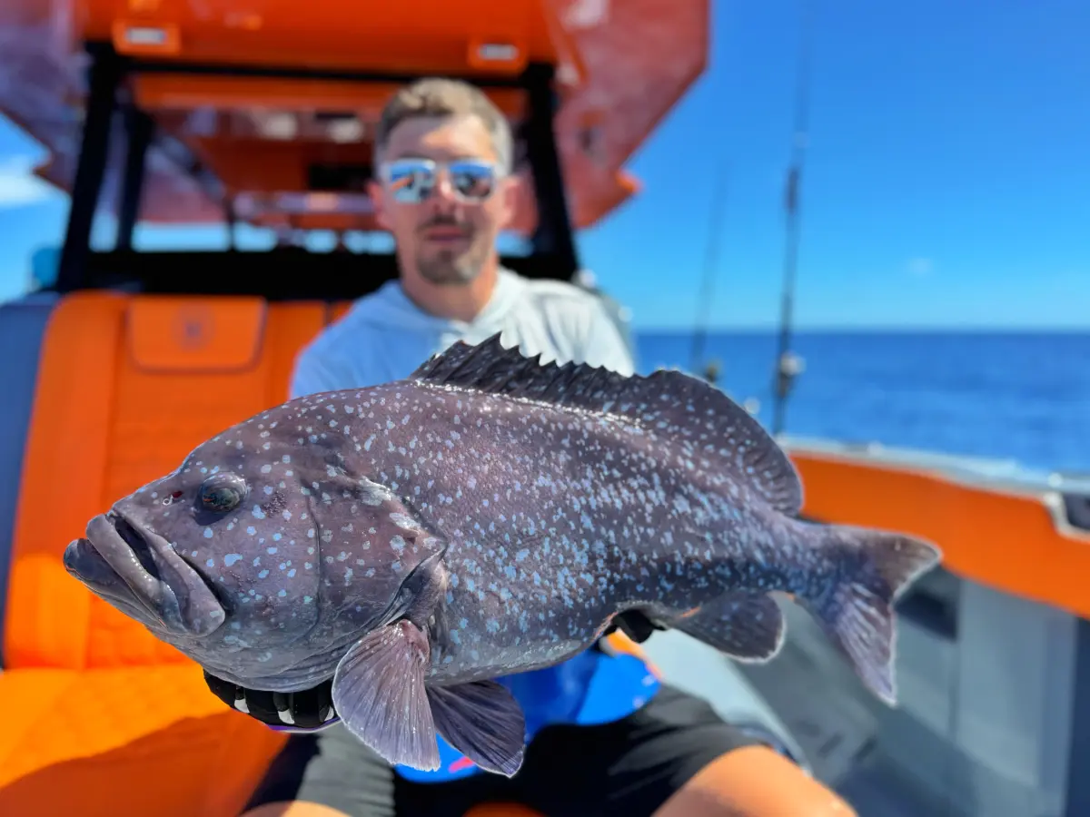 Тур Амирантес. Вариант 1